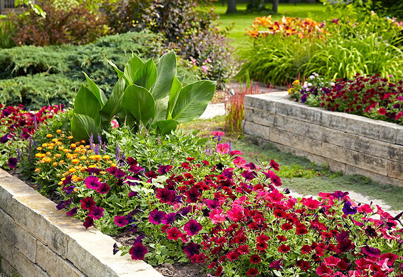 Raised Bed